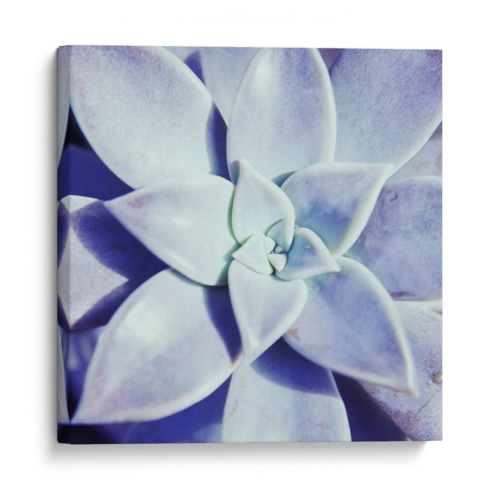 Ultra Violeta I - Jason Johnson | Cuadro decorativo de Canvas Lab