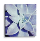 Ultra Violeta I - Jason Johnson | Cuadro decorativo de Canvas Lab