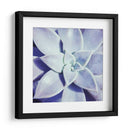 Ultra Violeta I - Jason Johnson | Cuadro decorativo de Canvas Lab