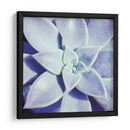 Ultra Violeta I - Jason Johnson | Cuadro decorativo de Canvas Lab