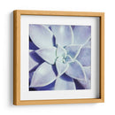 Ultra Violeta I - Jason Johnson | Cuadro decorativo de Canvas Lab