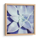 Ultra Violeta I - Jason Johnson | Cuadro decorativo de Canvas Lab