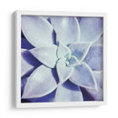 Ultra Violeta I - Jason Johnson | Cuadro decorativo de Canvas Lab