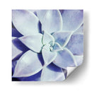 Ultra Violeta I - Jason Johnson | Cuadro decorativo de Canvas Lab