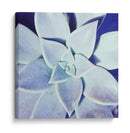 Ultra Violeta Ii - Jason Johnson | Cuadro decorativo de Canvas Lab