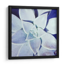 Ultra Violeta Ii - Jason Johnson | Cuadro decorativo de Canvas Lab