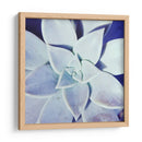 Ultra Violeta Ii - Jason Johnson | Cuadro decorativo de Canvas Lab