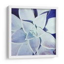 Ultra Violeta Ii - Jason Johnson | Cuadro decorativo de Canvas Lab