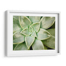 Primavera Suculenta - Jason Johnson | Cuadro decorativo de Canvas Lab