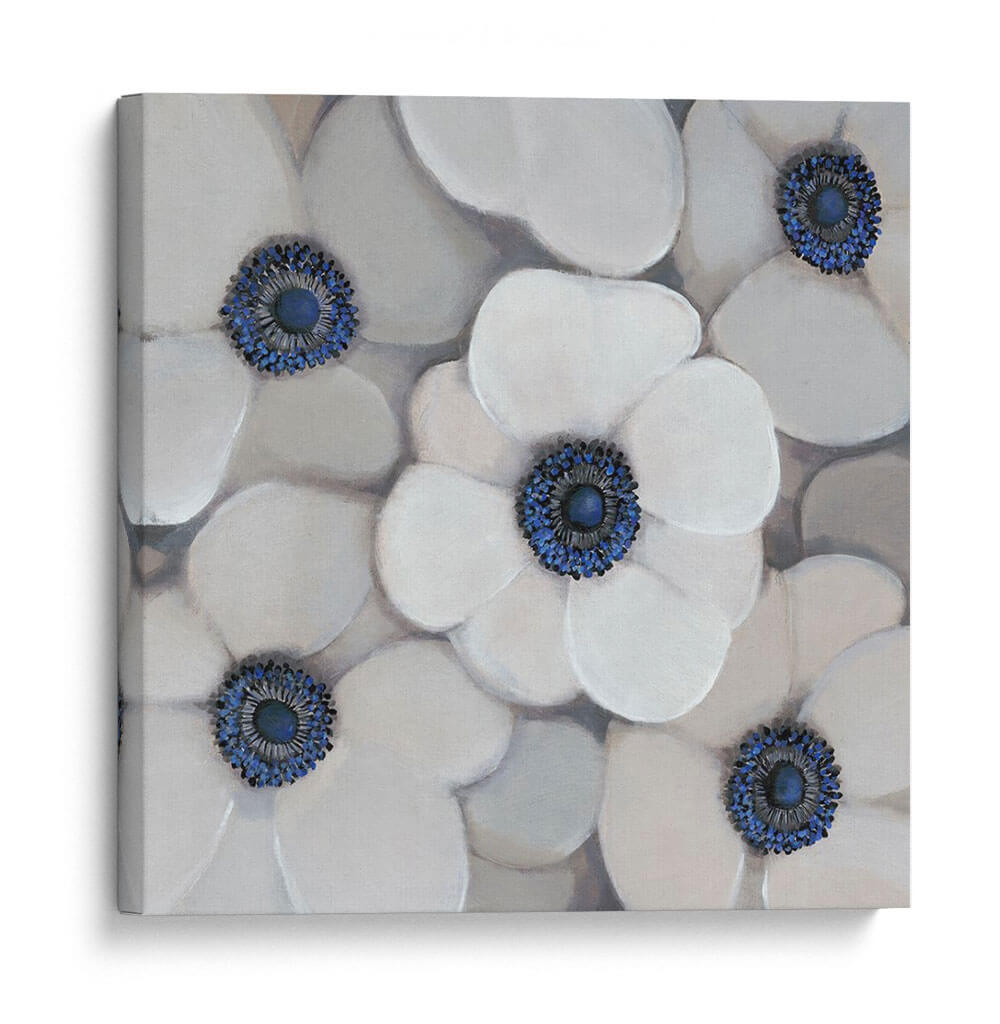 Anemona Blanca I - Tim OToole | Cuadro decorativo de Canvas Lab