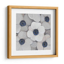 Anemona Blanca I - Tim OToole | Cuadro decorativo de Canvas Lab