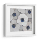 Anemona Blanca I - Tim OToole | Cuadro decorativo de Canvas Lab