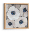 Anemona Blanca Ii - Tim OToole | Cuadro decorativo de Canvas Lab