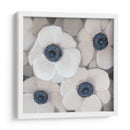 Anemona Blanca Ii - Tim OToole | Cuadro decorativo de Canvas Lab