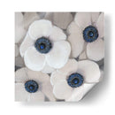 Anemona Blanca Ii - Tim OToole | Cuadro decorativo de Canvas Lab