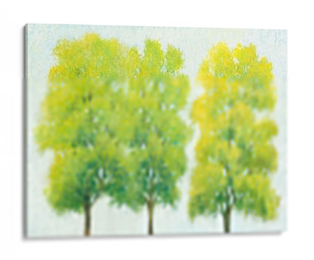 Primavera Eterna I - Tim OToole | Cuadro decorativo de Canvas Lab