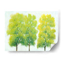 Primavera Eterna I - Tim OToole | Cuadro decorativo de Canvas Lab