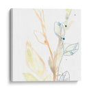 Botánica Gesto Viii - June Erica Vess | Cuadro decorativo de Canvas Lab
