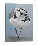 Pavonearse - Dlynn Roll | Cuadro decorativo de Canvas Lab