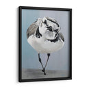 Pavonearse - Dlynn Roll | Cuadro decorativo de Canvas Lab