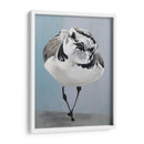 Pavonearse - Dlynn Roll | Cuadro decorativo de Canvas Lab