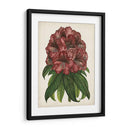 Estudio Rododendro I - Melissa Wang | Cuadro decorativo de Canvas Lab