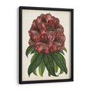 Estudio Rododendro I - Melissa Wang | Cuadro decorativo de Canvas Lab