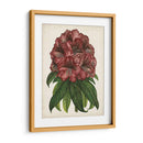 Estudio Rododendro I - Melissa Wang | Cuadro decorativo de Canvas Lab