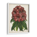 Estudio Rododendro I - Melissa Wang | Cuadro decorativo de Canvas Lab