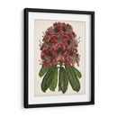Estudio Rododendro Ii - Melissa Wang | Cuadro decorativo de Canvas Lab