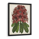 Estudio Rododendro Ii - Melissa Wang | Cuadro decorativo de Canvas Lab
