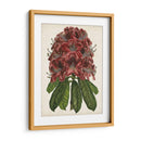 Estudio Rododendro Ii - Melissa Wang | Cuadro decorativo de Canvas Lab