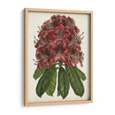 Estudio Rododendro Ii - Melissa Wang | Cuadro decorativo de Canvas Lab