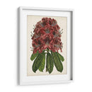 Estudio Rododendro Ii - Melissa Wang | Cuadro decorativo de Canvas Lab