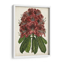 Estudio Rododendro Ii - Melissa Wang | Cuadro decorativo de Canvas Lab