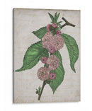 Memoria Floral I - Melissa Wang | Cuadro decorativo de Canvas Lab