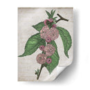 Memoria Floral I - Melissa Wang | Cuadro decorativo de Canvas Lab