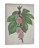 Memoria Floral Ii - Melissa Wang | Cuadro decorativo de Canvas Lab