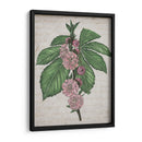 Memoria Floral Ii - Melissa Wang | Cuadro decorativo de Canvas Lab