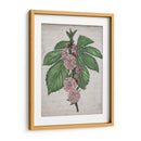 Memoria Floral Ii - Melissa Wang | Cuadro decorativo de Canvas Lab