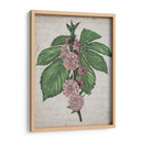 Memoria Floral Ii - Melissa Wang | Cuadro decorativo de Canvas Lab