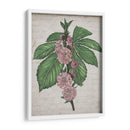 Memoria Floral Ii - Melissa Wang | Cuadro decorativo de Canvas Lab