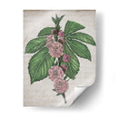 Memoria Floral Ii - Melissa Wang | Cuadro decorativo de Canvas Lab