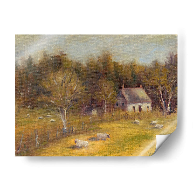 Cottage Meadow I - Marilyn Wendling | Cuadro decorativo de Canvas Lab