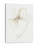 Gestos De Jardín I - June Erica Vess | Cuadro decorativo de Canvas Lab