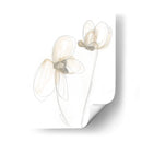 Gestos De Jardín Vi - June Erica Vess | Cuadro decorativo de Canvas Lab