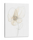 Gestos De Jardín Vii - June Erica Vess | Cuadro decorativo de Canvas Lab