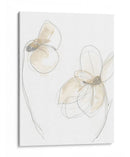 Gestos De Jardín Viii - June Erica Vess | Cuadro decorativo de Canvas Lab