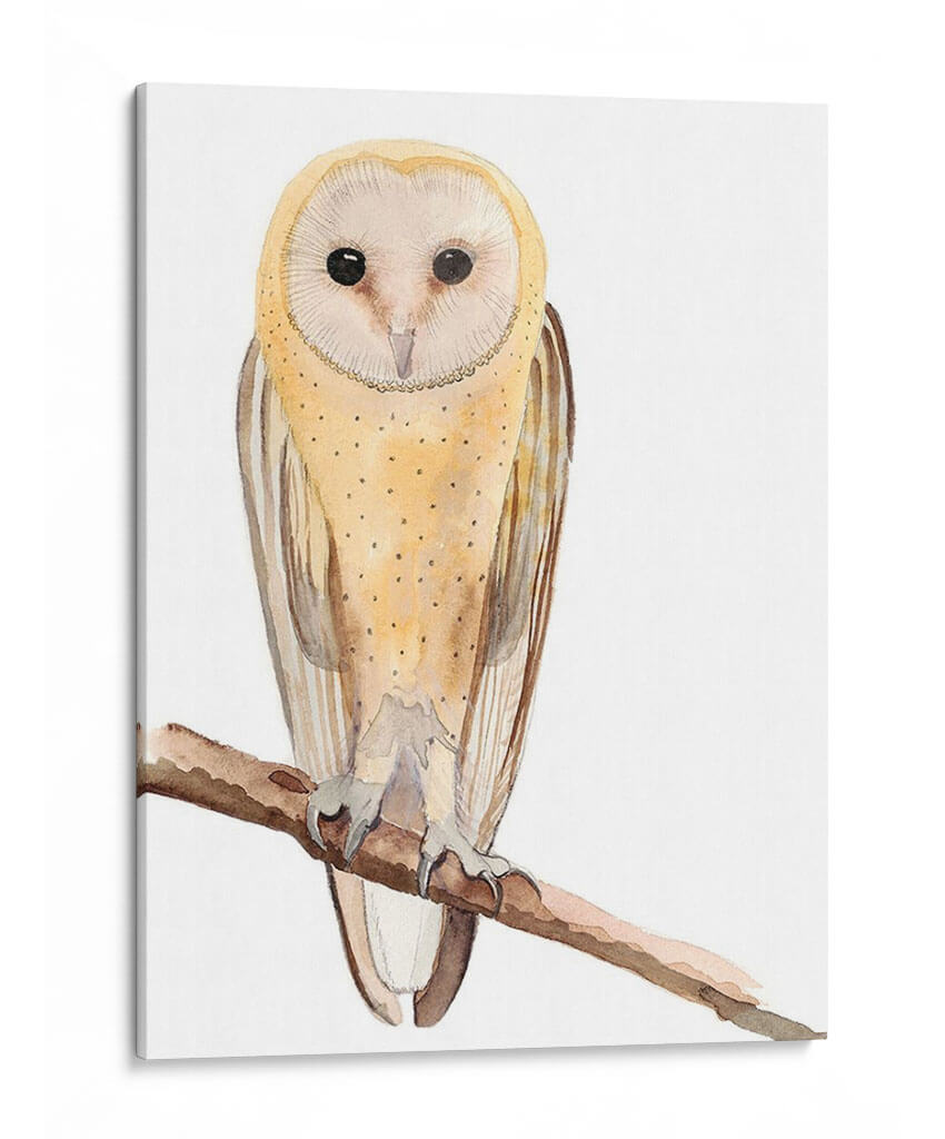 Hoo Dis Ii - Alicia Ludwig | Cuadro decorativo de Canvas Lab
