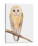 Hoo Dis Ii - Alicia Ludwig | Cuadro decorativo de Canvas Lab